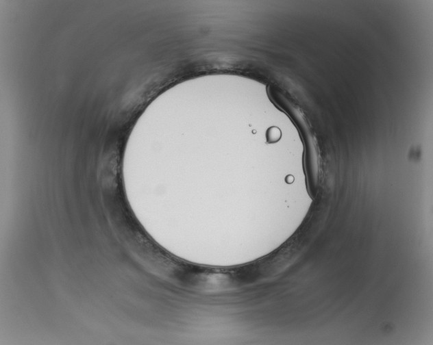 X0000113950509200910232009