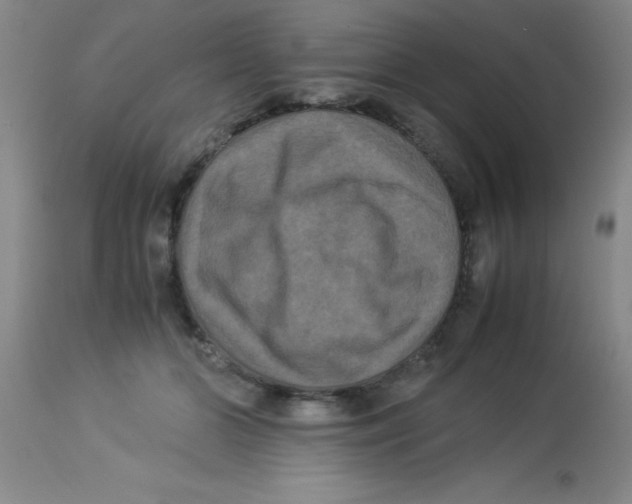 X0000113950510200910232009