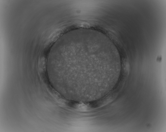 X0000113950511200910232009