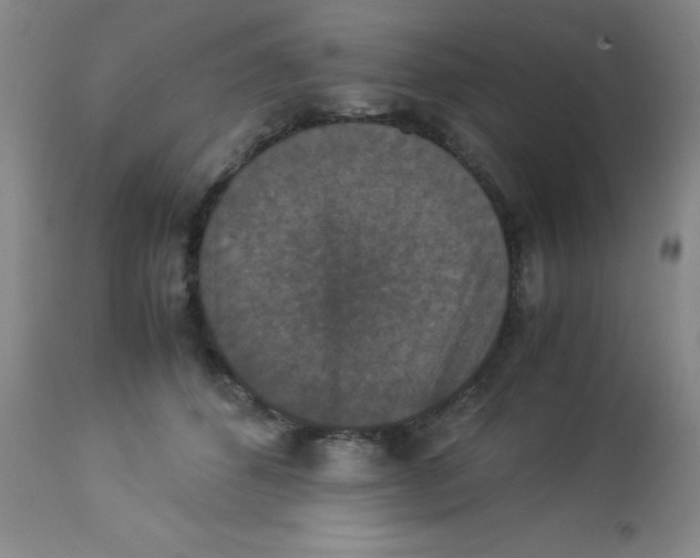 X0000113950512200910232009