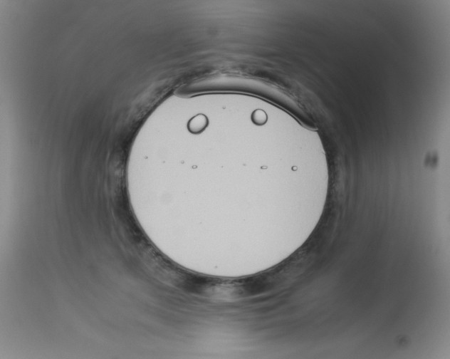 X0000113950513200910232009