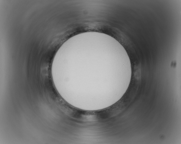 X0000113950514200910232009
