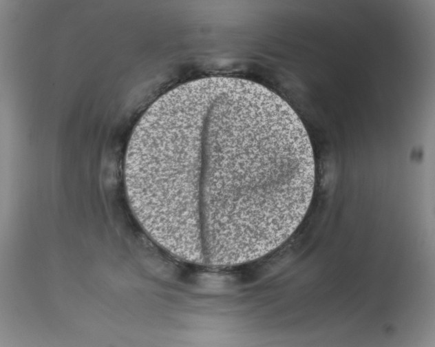 X0000113950515200910232009