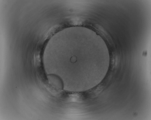 X0000113950516200910232009