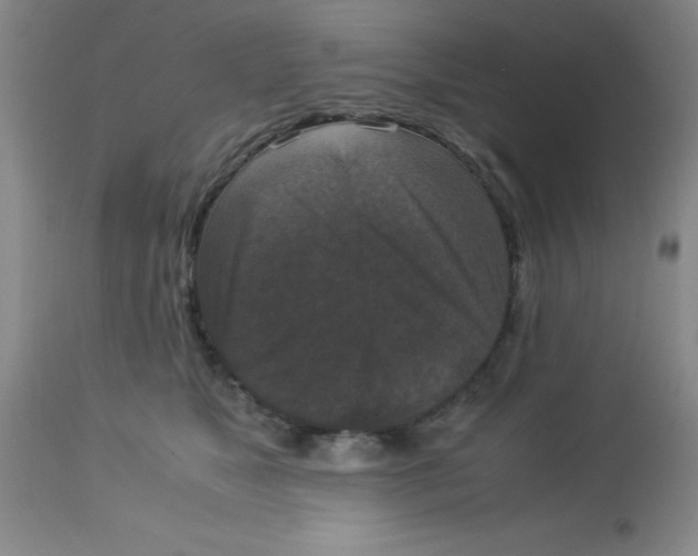 X0000113950517200910232009