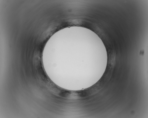 X0000113950518200910232009