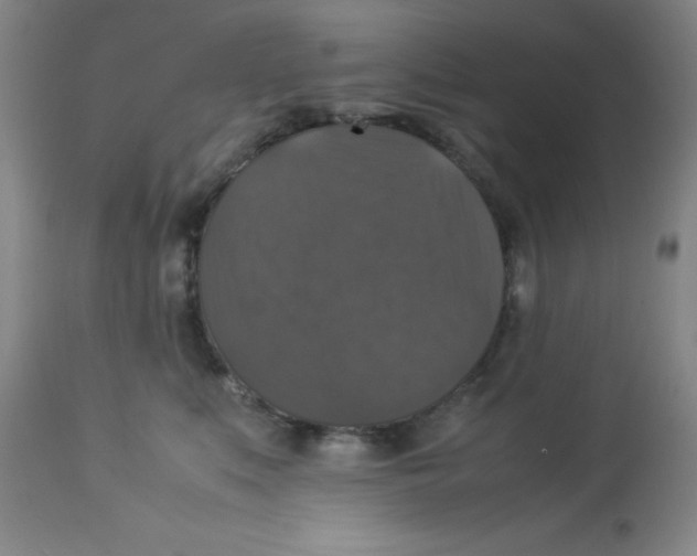 X0000113950519200910232009