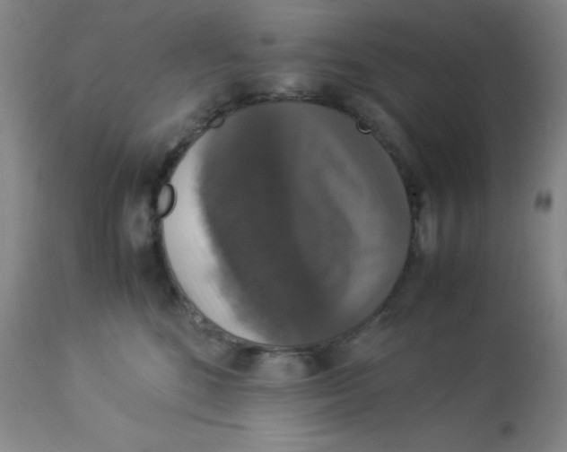 X0000113950520200910232009