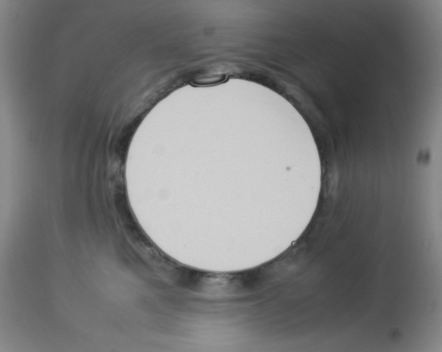 X0000113950521200910232009