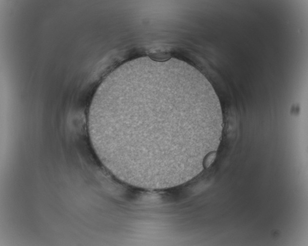 X0000113950523200910232009