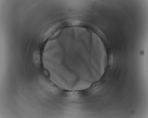 X0000113950524200910232009
