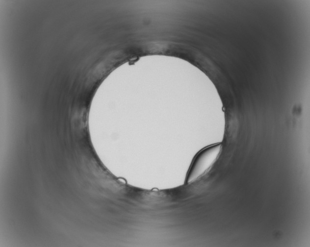 X0000113950525200910232009