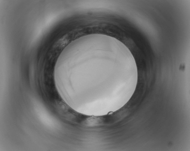X0000113950526200910232009