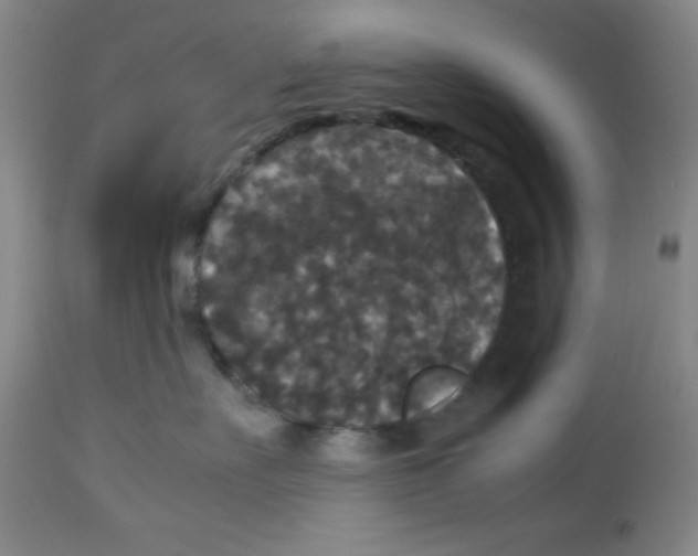 X0000113950527200910232009