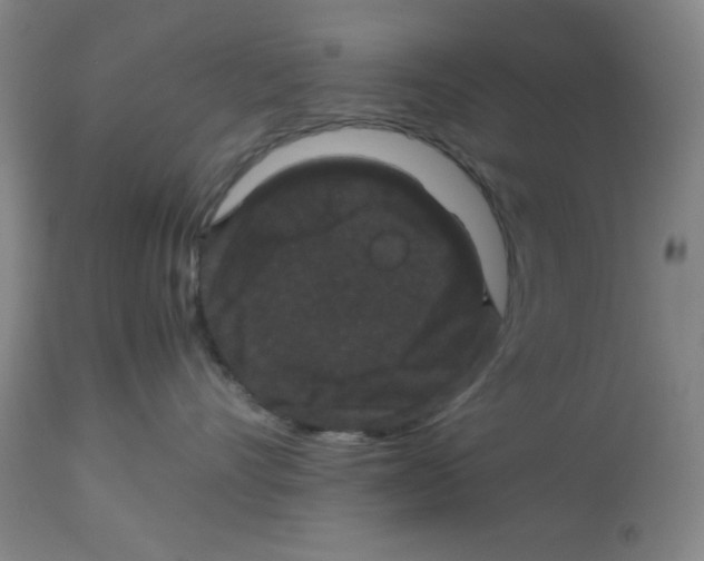 X0000113950528200910232009