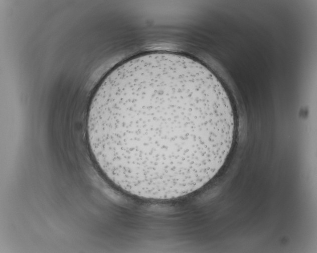 X0000113950529200910232008
