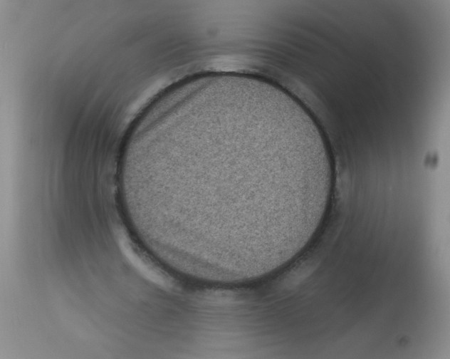 X0000113950530200910232008