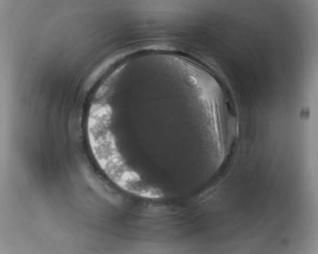 X0000113950531200910232008
