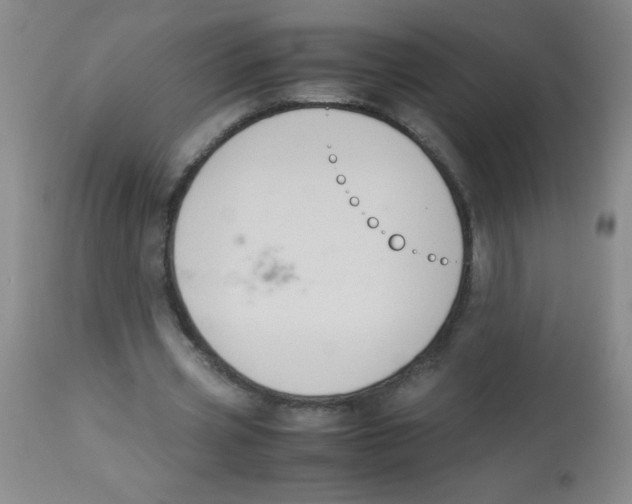 X0000113950533200910232008