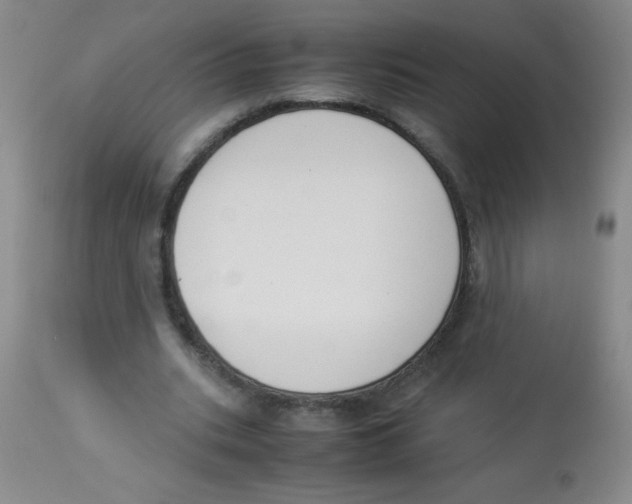 X0000113950535200910232008