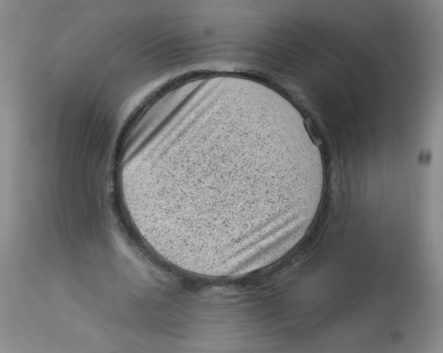 X0000113950536200910232008