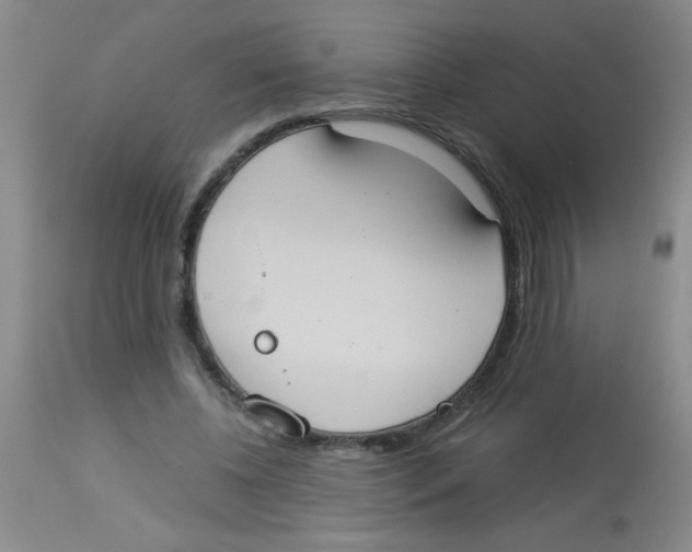 X0000113950540200910232008