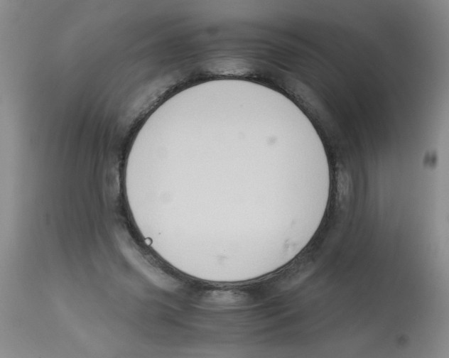 X0000113950541200910232009