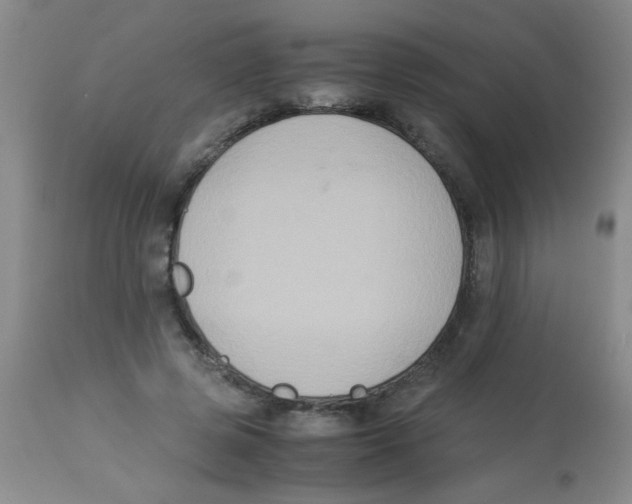 X0000113950545200910232009