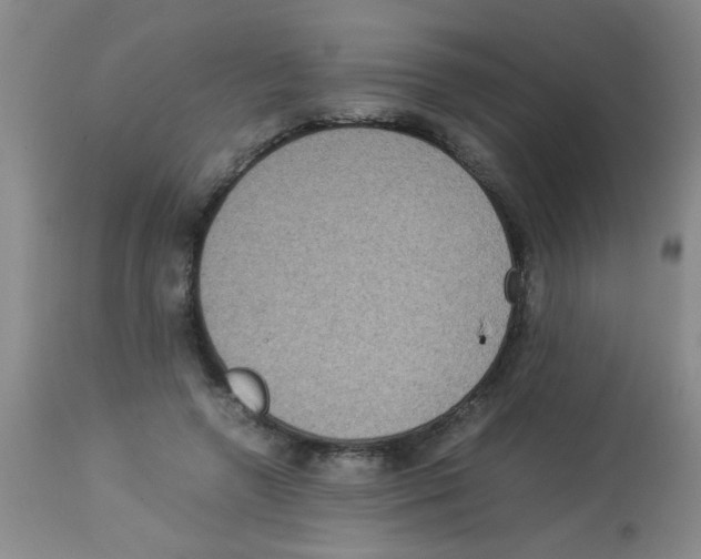 X0000113950546200910232009