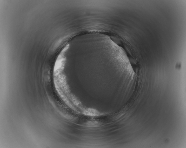 X0000113950547200910232009