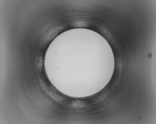 X0000113950549200910232009