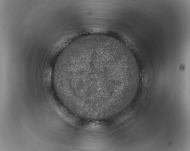 X0000113950550200910232009