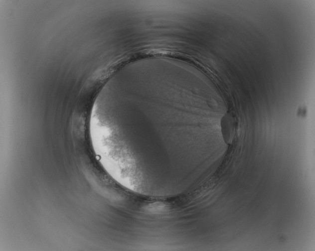 X0000113950551200910232009