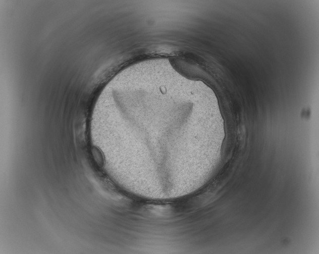 X0000113950552200910232009