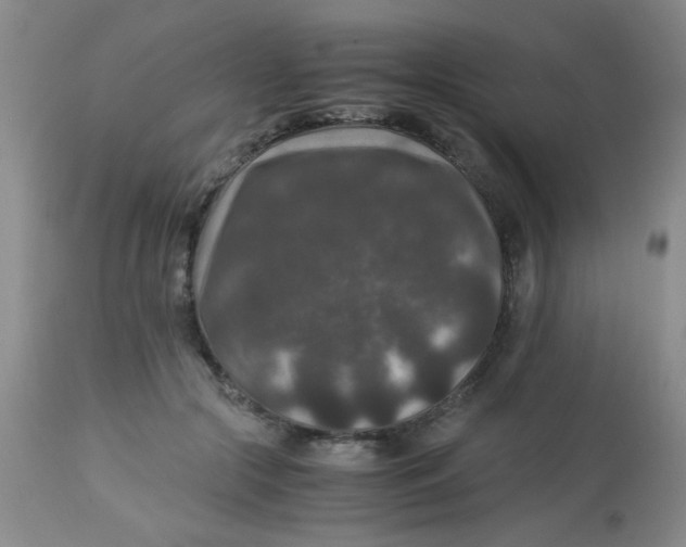 X0000113950553200910232009