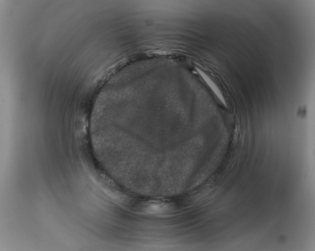 X0000113950555200910232009