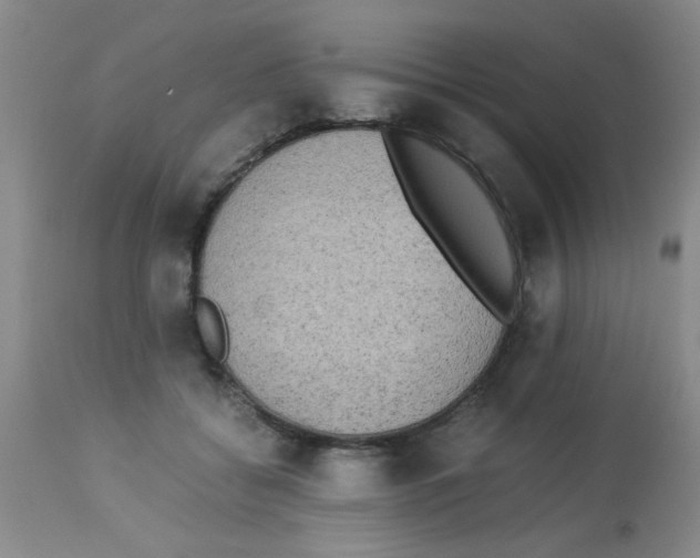 X0000113950556200910232009