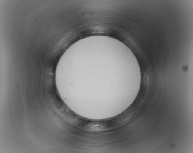 X0000113950557200910232009