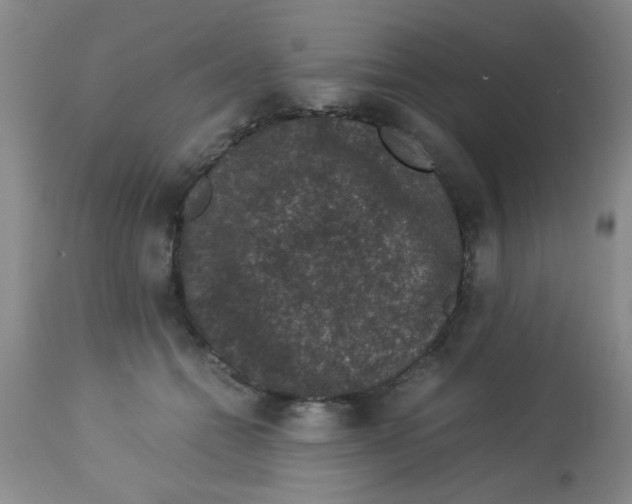 X0000113950558200910232009