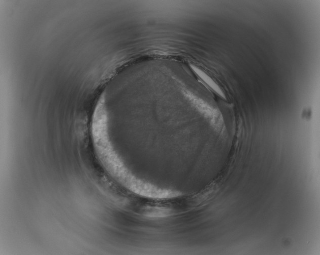 X0000113950559200910232009