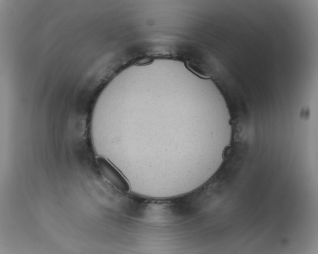 X0000113950560200910232009