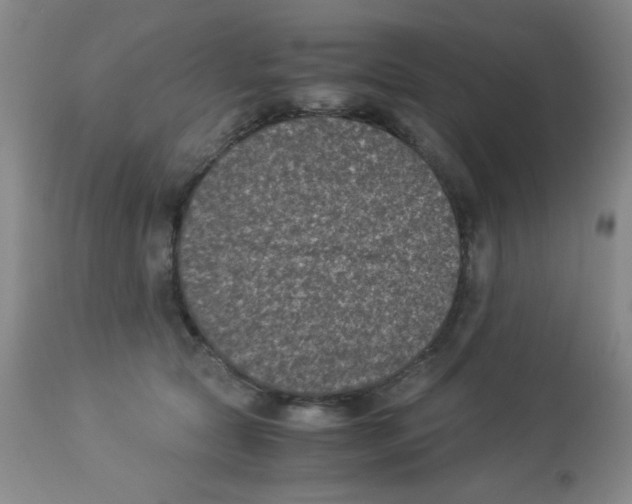 X0000113950561200910232009