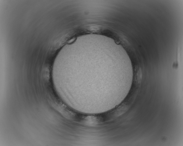 X0000113950562200910232009
