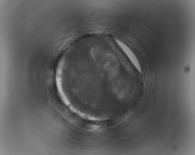 X0000113950563200910232009