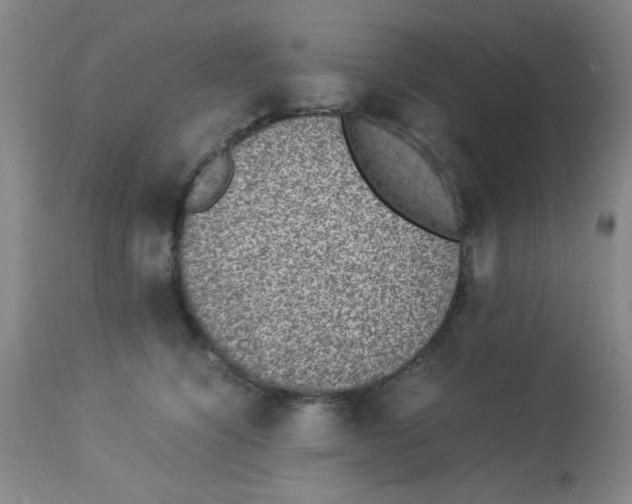 X0000113950564200910232009