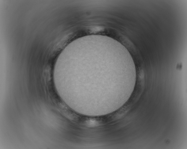 X0000113950565200910232009
