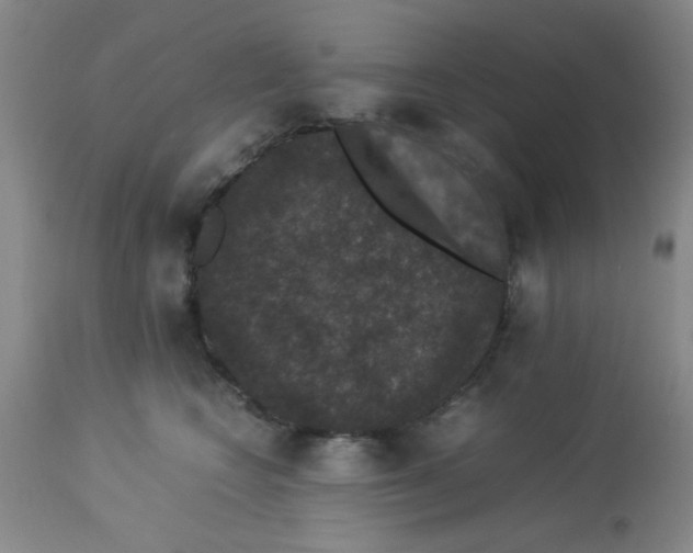 X0000113950566200910232009