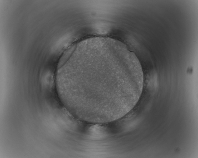 X0000113950568200910232009