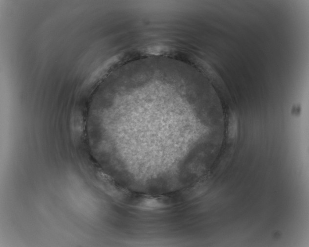 X0000113950569200910232009