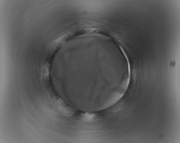X0000113950570200910232009